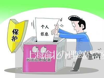 上海渝北办理离婚需要的材料/2023032539179