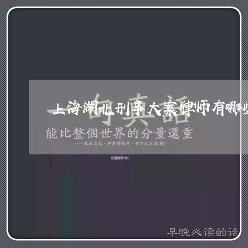 上海湖北刑事大案律师有哪些/2023032431841