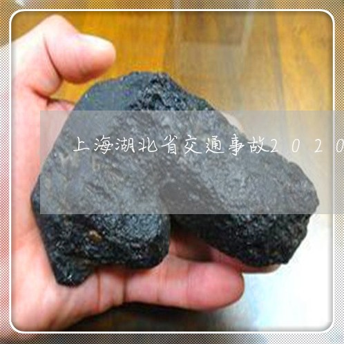 上海湖北省交通事故2020/2023032483705