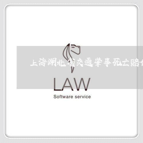 上海湖北省交通肇事死亡赔偿/2023032459261 上海湖北省交通肇事死亡赔偿/2023032459261