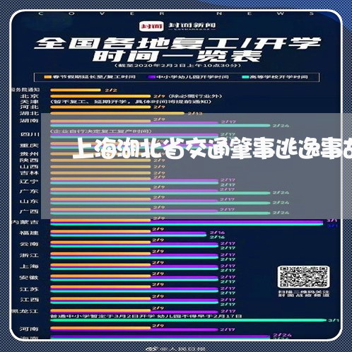 上海湖北省交通肇事逃逸事故/2023032470694