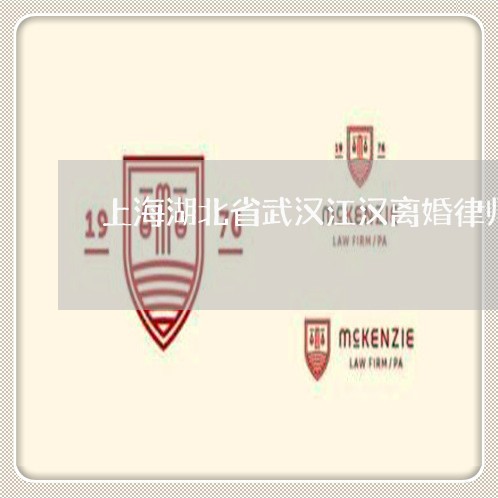 上海湖北省武汉江汉离婚律师/2023032415168