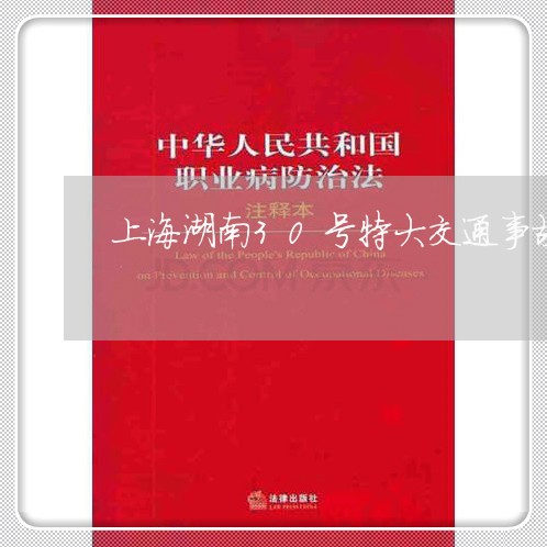 上海湖南30号特大交通事故/2023032432582