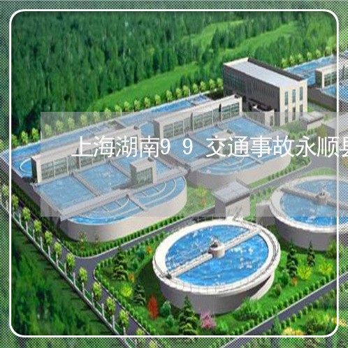 上海湖南99交通事故永顺县/2023032495059