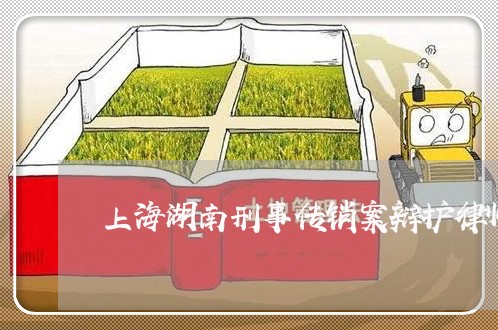 上海湖南刑事传销案辩护律师/2023032417049