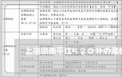 上海湖南平江520补办离婚/2023032490591