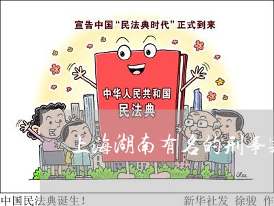 上海湖南有名的刑事案律师/2023032117594