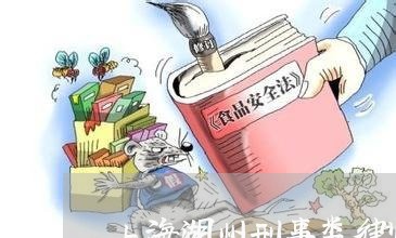 上海湖州刑事类律师/2023032693826