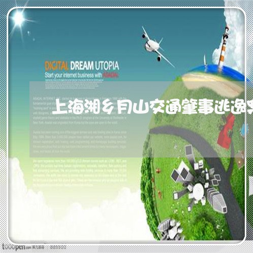 上海湘乡月山交通肇事逃逸案/2023032459461 上海湘乡月山交通肇事逃逸案/2023032459461