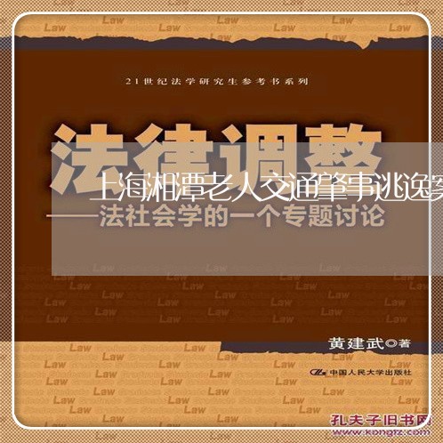 上海湘潭老人交通肇事逃逸案/2023032495169
