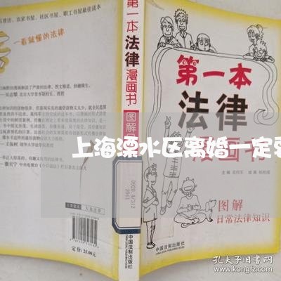 上海溧水区离婚一定要诉讼吗/2023032437179