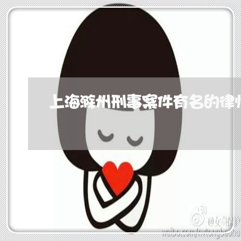 上海滁州刑事案件有名的律师/2023032498471