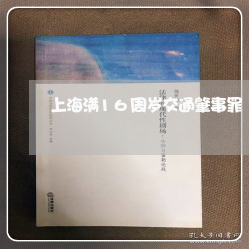 上海满16周岁交通肇事罪/2023032230505
