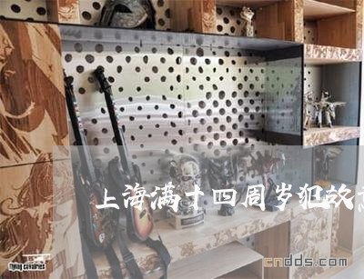 上海满十四周岁犯故意伤害罪/2023032484858 上海满十四周岁犯故意伤害罪/2023032484858