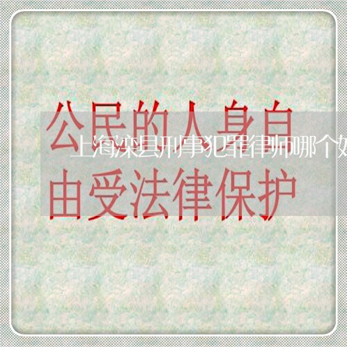 上海滦县刑事犯罪律师哪个好/2023032498401