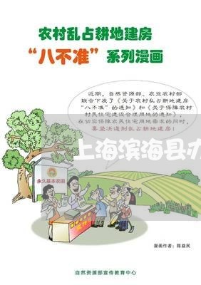 上海滨海县办理离婚/2023032672503