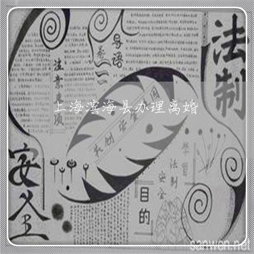 上海滨海县办理离婚/2023032687260
