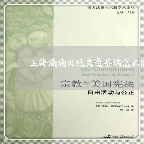 上海滴滴出现交通事故怎么赔/2023032485726 上海滴滴出现交通事故怎么赔/2023032485726