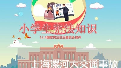 上海漯河大交通事故/2023032671682 上海漯河大交通事故/2023032671682