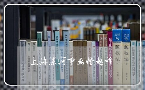 上海漯河市离婚起诉/2023032614039