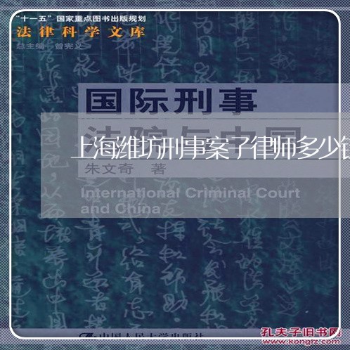 上海潍坊刑事案子律师多少钱/2023032518149