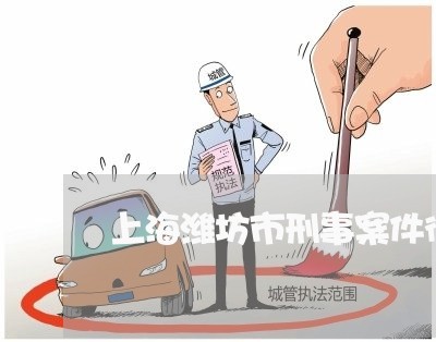 上海潍坊市刑事案件律师网站/2023032517946