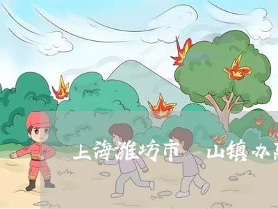上海潍坊市岞山镇办离婚去哪/2023032583414