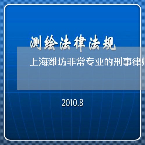 上海潍坊非常专业的刑事律师/2023032519150
