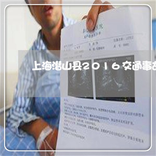 上海潜山县2016交通事故/2023032595837