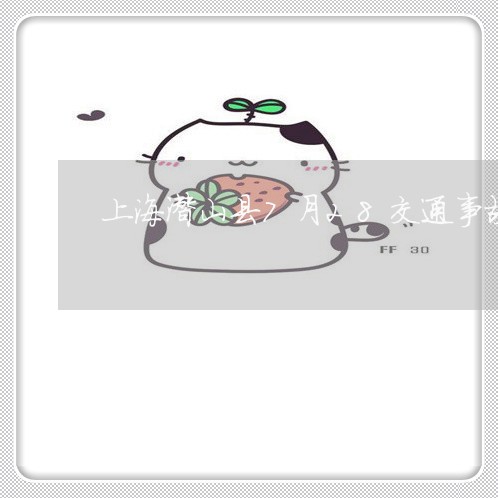 上海潜山县7月28交通事故/2023032573703 上海潜山县7月28交通事故/2023032573703