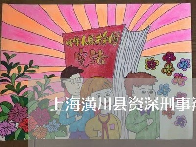 上海潢川县资深刑事辩护律师/2023032517379 上海潢川县资深刑事辩护律师/2023032517379