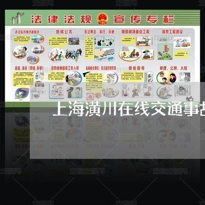 上海潢川在线交通事故判决书/2023032526268