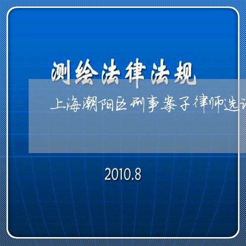上海潮阳区刑事案子律师选谁/2023032575035