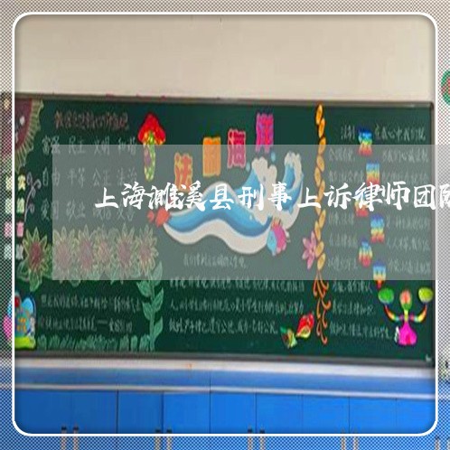 上海濉溪县刑事上诉律师团队/2023032538482