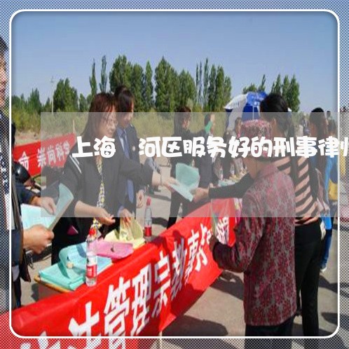 上海瀍河区服务好的刑事律师/2023032504935