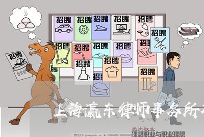 上海瀛东律师事务所有刑事吗/2023032558260