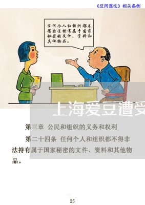 上海爱豆遭受过的故意伤害罪/2023032551615 上海爱豆遭受过的故意伤害罪/2023032551615