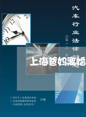 上海爸妈离婚妈妈带走了哥哥/2023032504049 上海爸妈离婚妈妈带走了哥哥/2023032504049