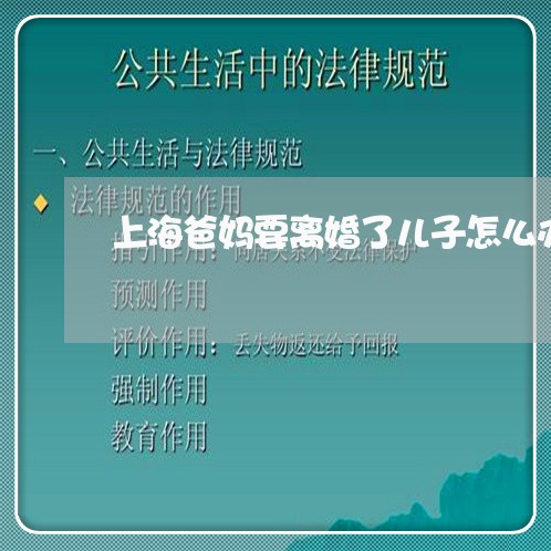 上海爸妈要离婚了儿子怎么办/2023032591027 上海爸妈要离婚了儿子怎么办/2023032591027