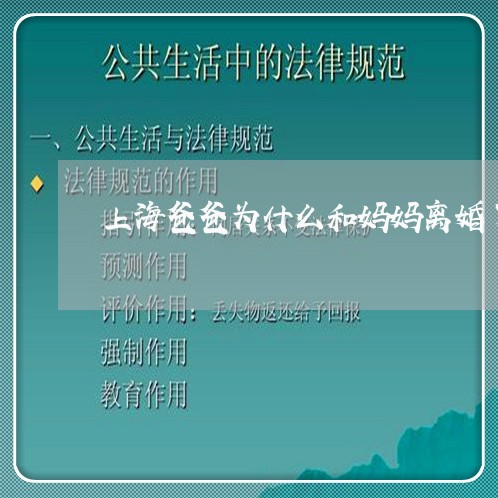 上海爸爸为什么和妈妈离婚了/2023032483827 上海爸爸为什么和妈妈离婚了/2023032483827