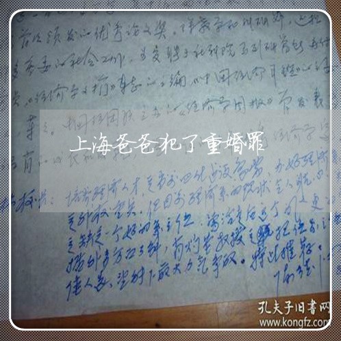 上海爸爸犯了重婚罪/2023032661371 上海爸爸犯了重婚罪/2023032661371