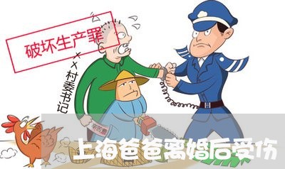 上海爸爸离婚后受伤/2023032681795 上海爸爸离婚后受伤/2023032681795