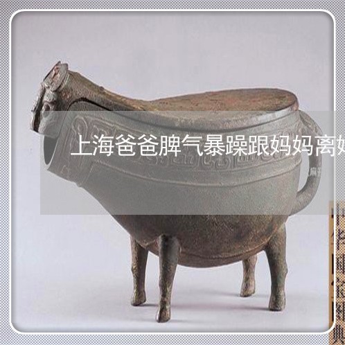 上海爸爸脾气暴躁跟妈妈离婚/2023032415948