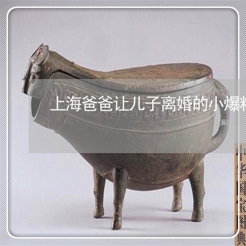 上海爸爸让儿子离婚的小爆料/2023032425179