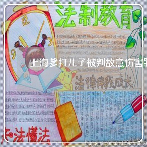 上海爹打儿子被判故意伤害罪/2023032452503