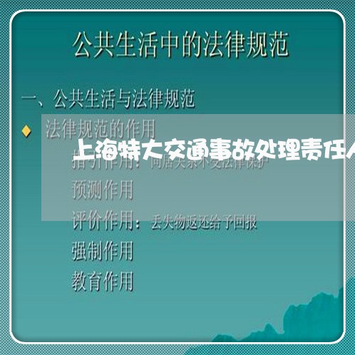 上海特大交通事故处理责任人/2023032456392