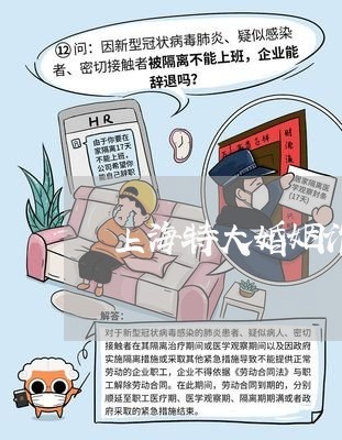 上海特大婚姻诈骗罪/2023032614950