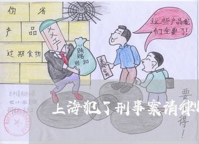 上海犯了刑事案请律师有用吗/2023032437159