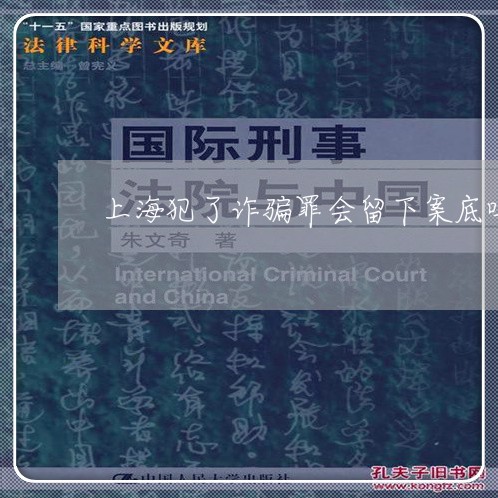 上海犯了诈骗罪会留下案底吗/2023032461515