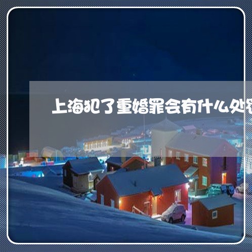 上海犯了重婚罪会有什么处罚/2023032407956